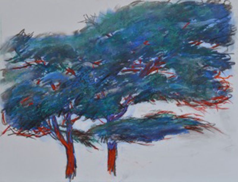 image simeon colin.jpg